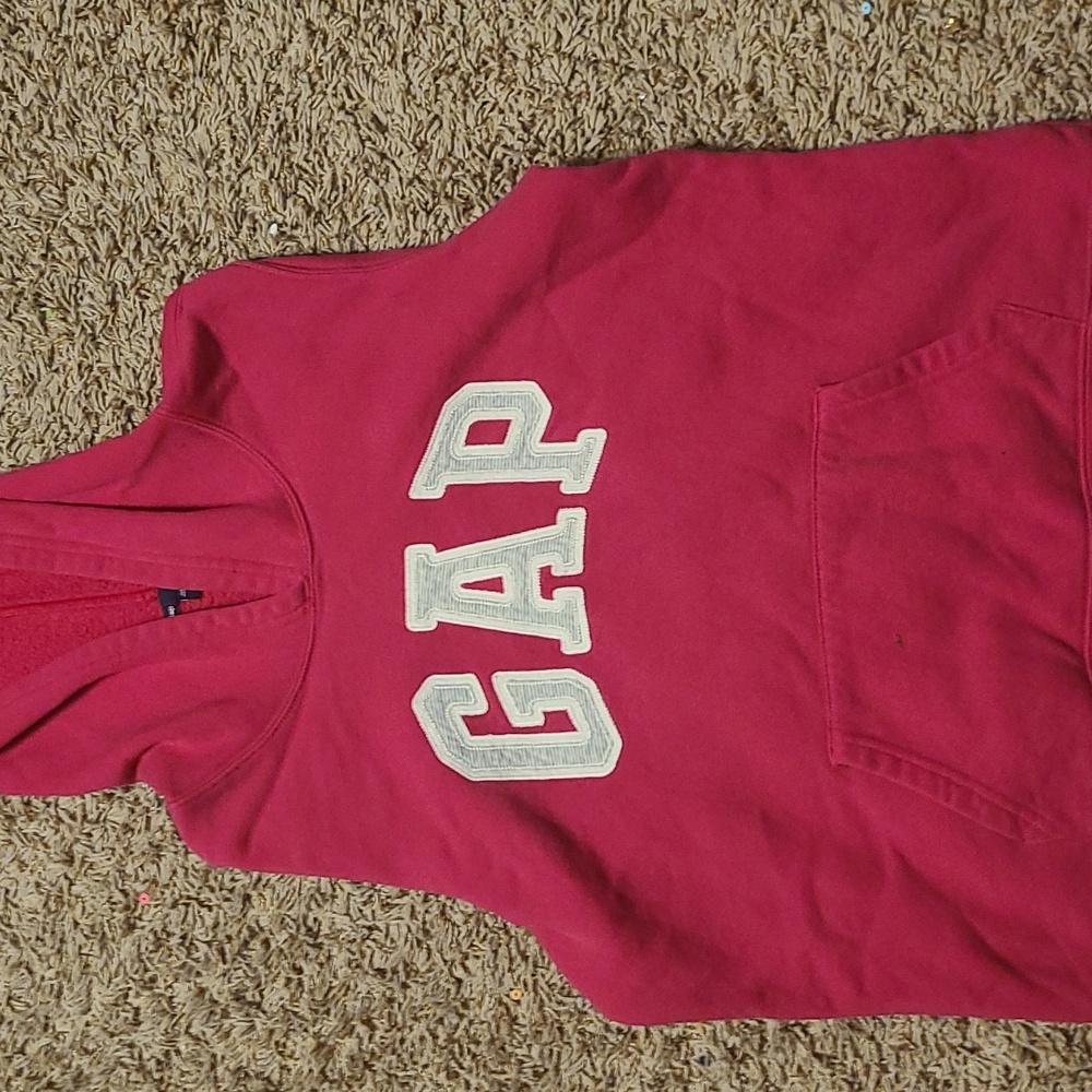 Gap Hoodie